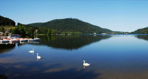 Gerardmer