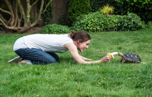 Megan (Keira Knightley) et la tortue anorexique d'Annika.  DR