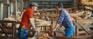 "Au nom...": agriculteurs de père en fils (Rufus et Guillaume Canet). DR