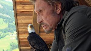 Johnny Hallyday et un aigle...