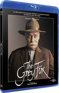 Grey Fox