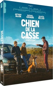 Chien Casse