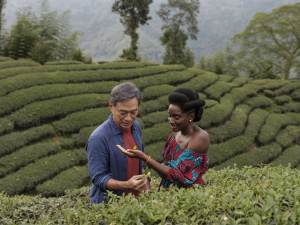 "Black Tea": Cai (Han Chang) et Aya (Nina Mélo) dans les plantations de thé. DR