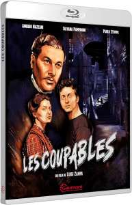 Les Coupables