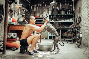 Lang lave son chien. DR