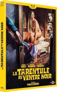 Tarentule Ventre Noire