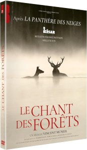 Chant Forets
