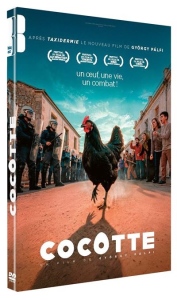 Cocotte